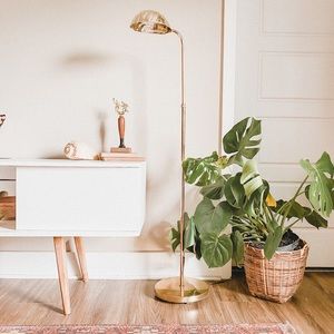 Shell lamp